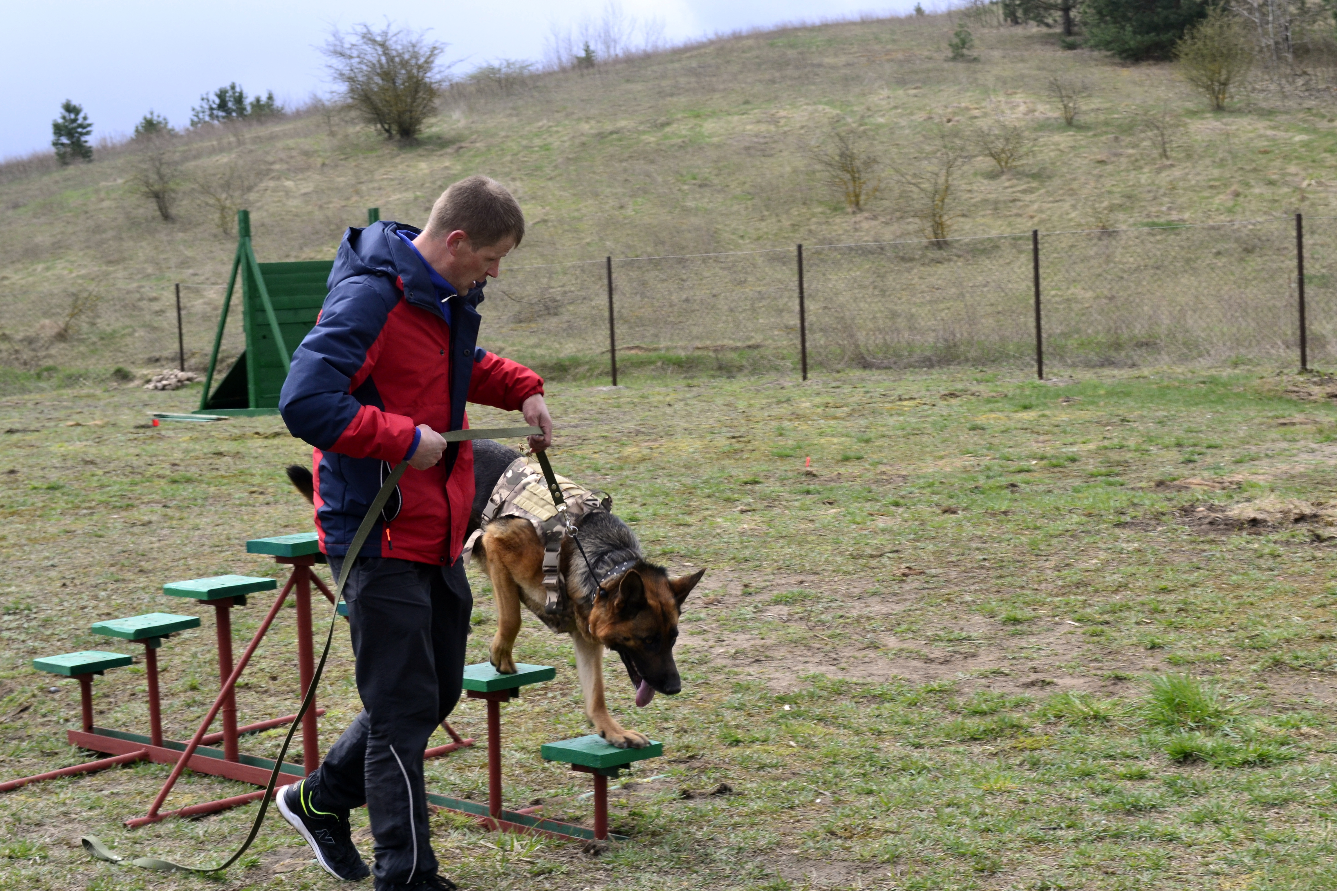 Передержка Elzar